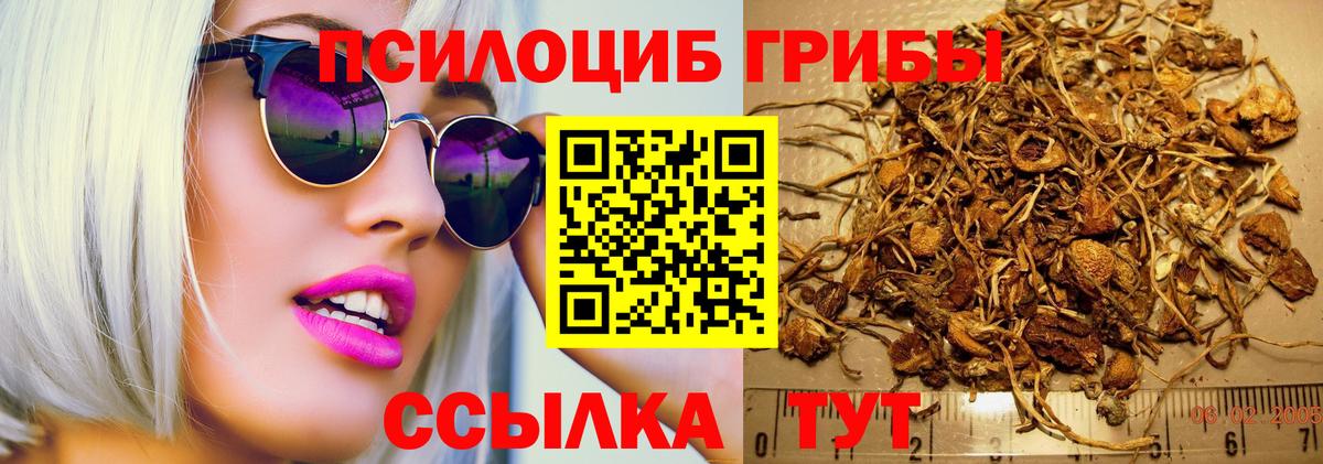 Галлюциногенные грибы мухоморы  Вход с VPN  Кудымкар  Галлюциногенные грибы Psilocybine cubensis 